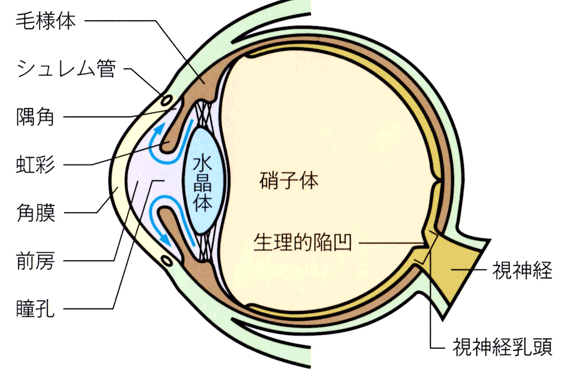 眼圧とは